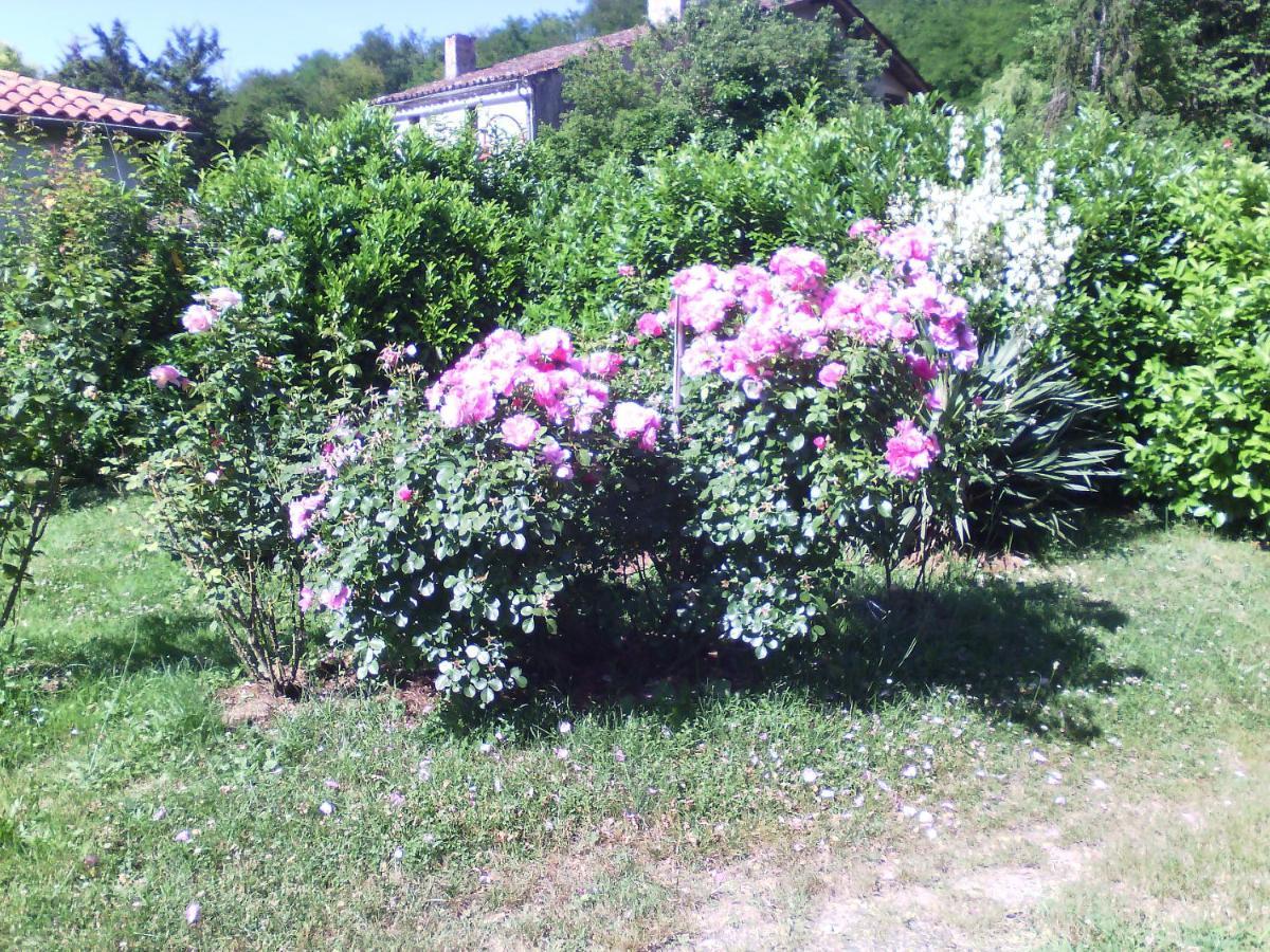 L'Ancien Patronage Pensionat Caumont-sur-Garonne Exteriör bild