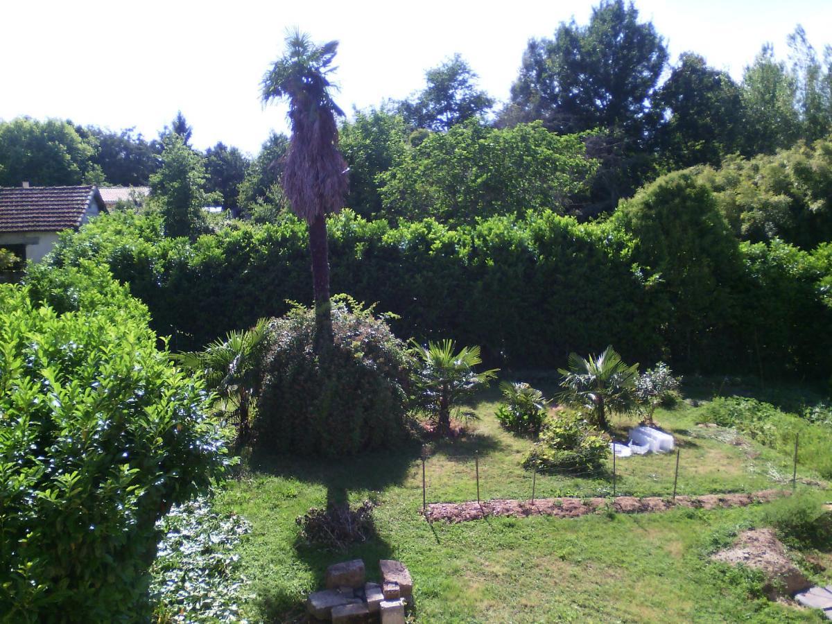L'Ancien Patronage Pensionat Caumont-sur-Garonne Exteriör bild